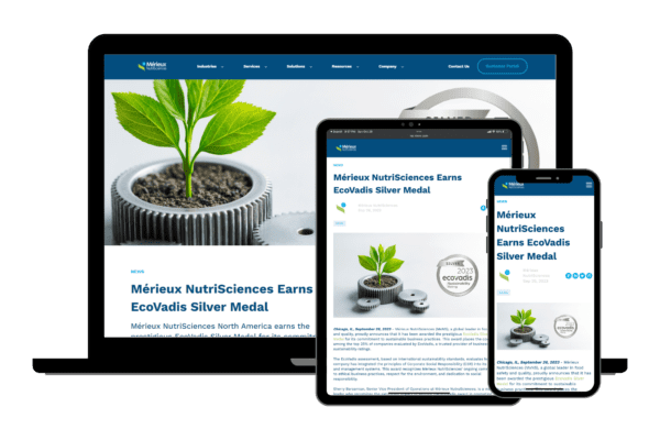 The Rise of Sustainable Business Practices in Chicago