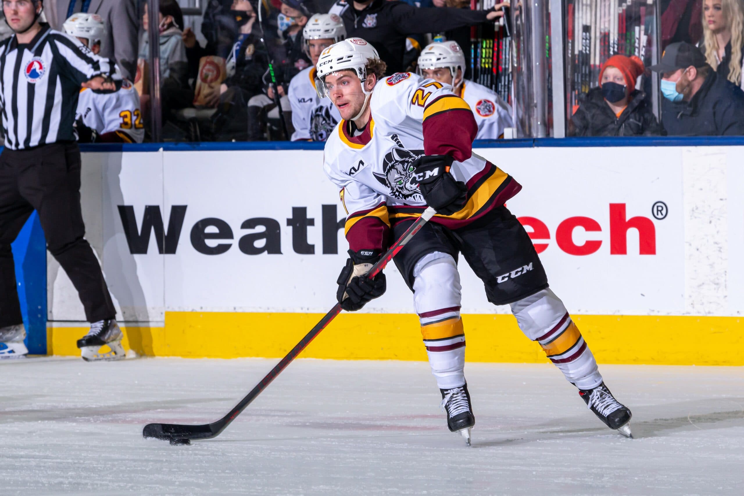 The Chicago Wolves: Minor League Hockey and the Development of NHL Talent